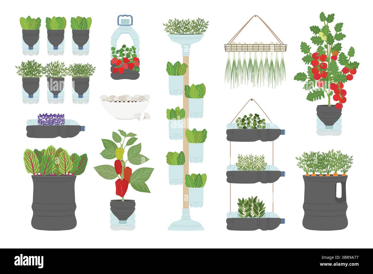 Set of DIY plastic bottle planters with vegetables and greens at home ...