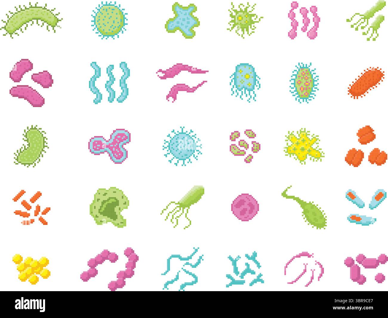Amoeba cell microscope hi-res stock photography and images - Alamy