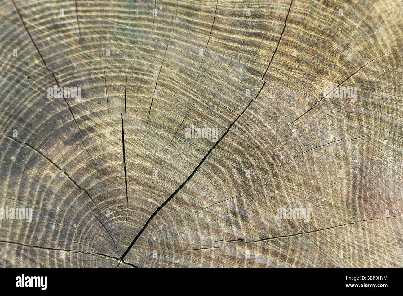 Photo Showcasing Pattern Showcasing circular patterns hi-res stock photography and images - Alamy
