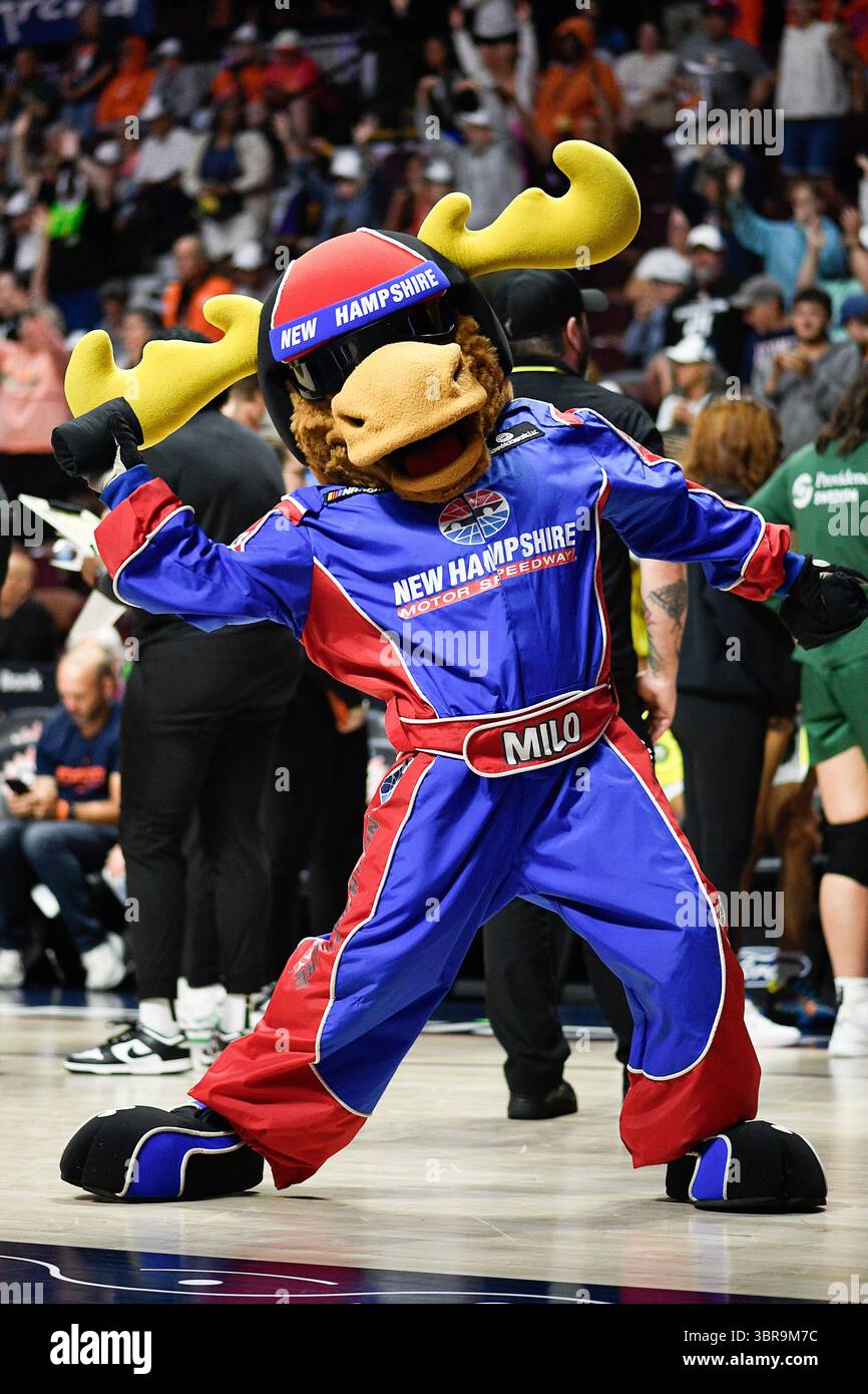 UNCASVILLE, CT - JULY 09: New Hampshire Motor Speedway mascot Milo the ...