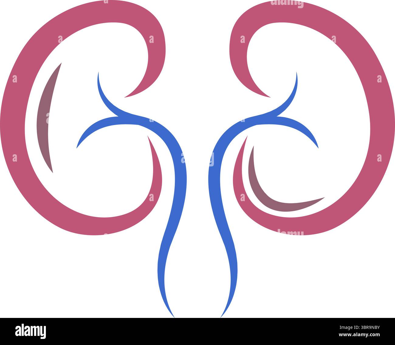 Kidney logo icon design illustration Stock Vector