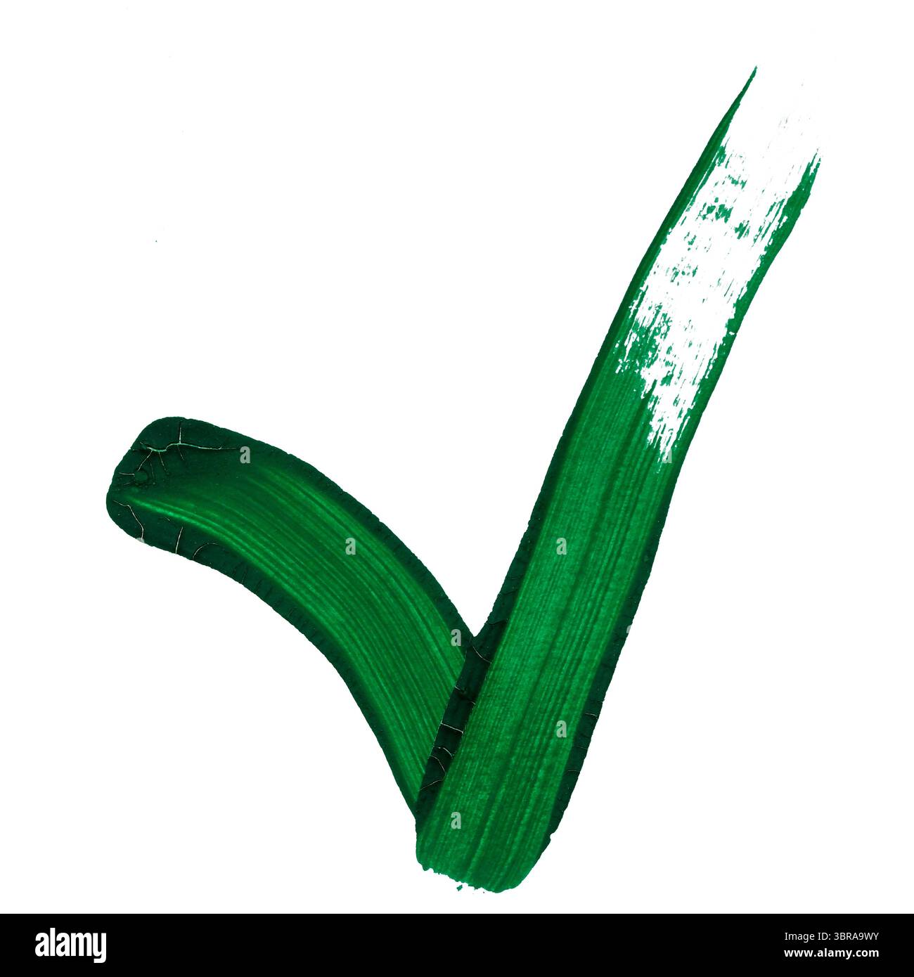 Vibrant green brush strokes form a striking check mark on a blank ...