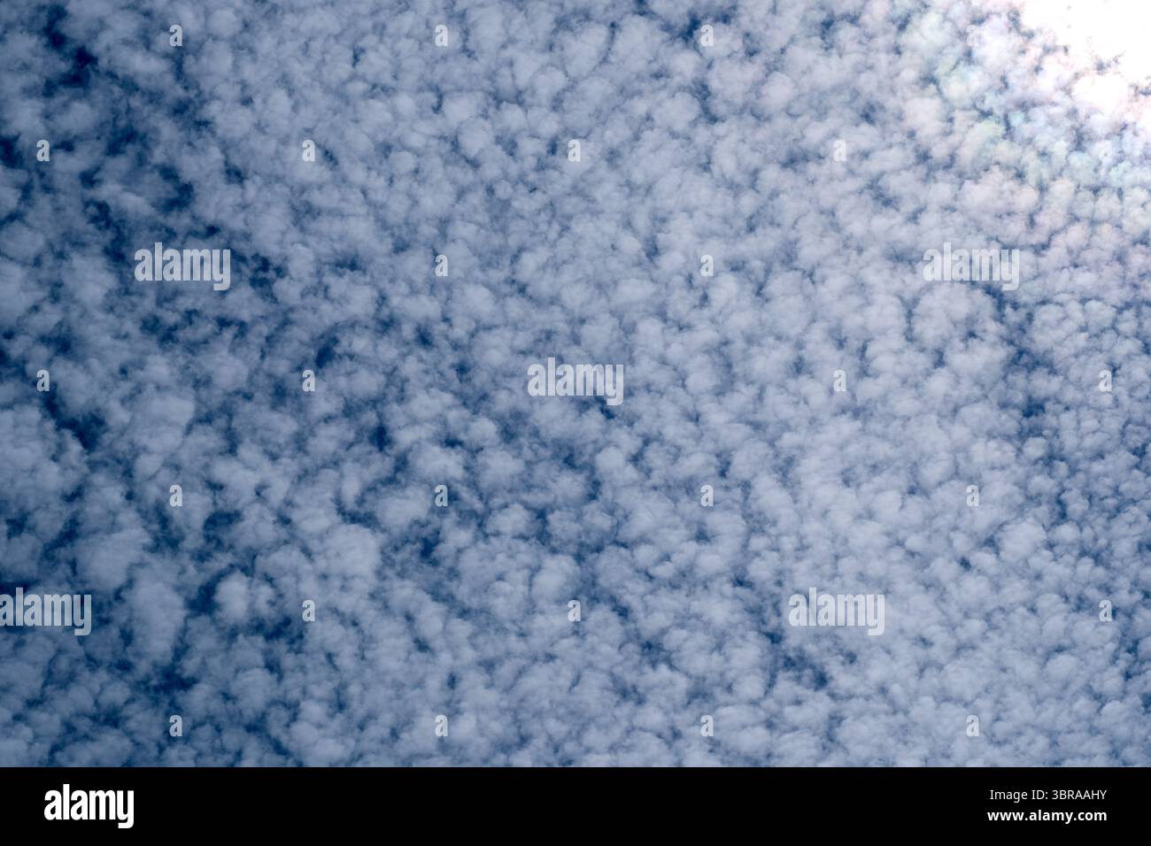 Fluffy clouds float in the bright noon sky, adding to the serene atmosphere. Stock Photo