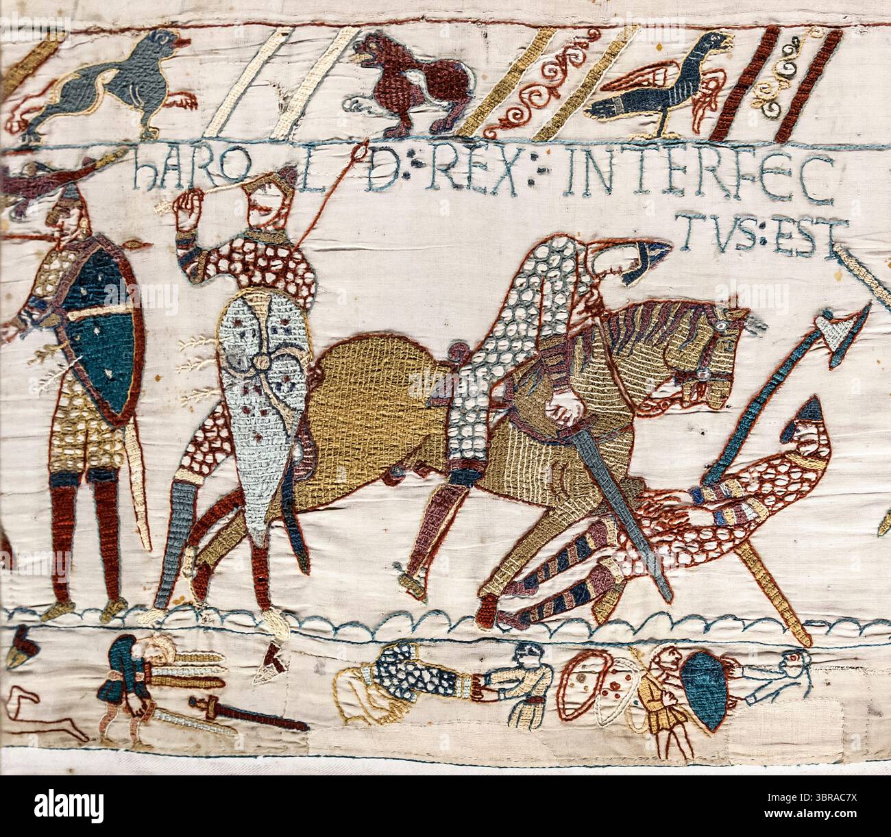 Battle of hastings hi-res stock photography and images - Alamy