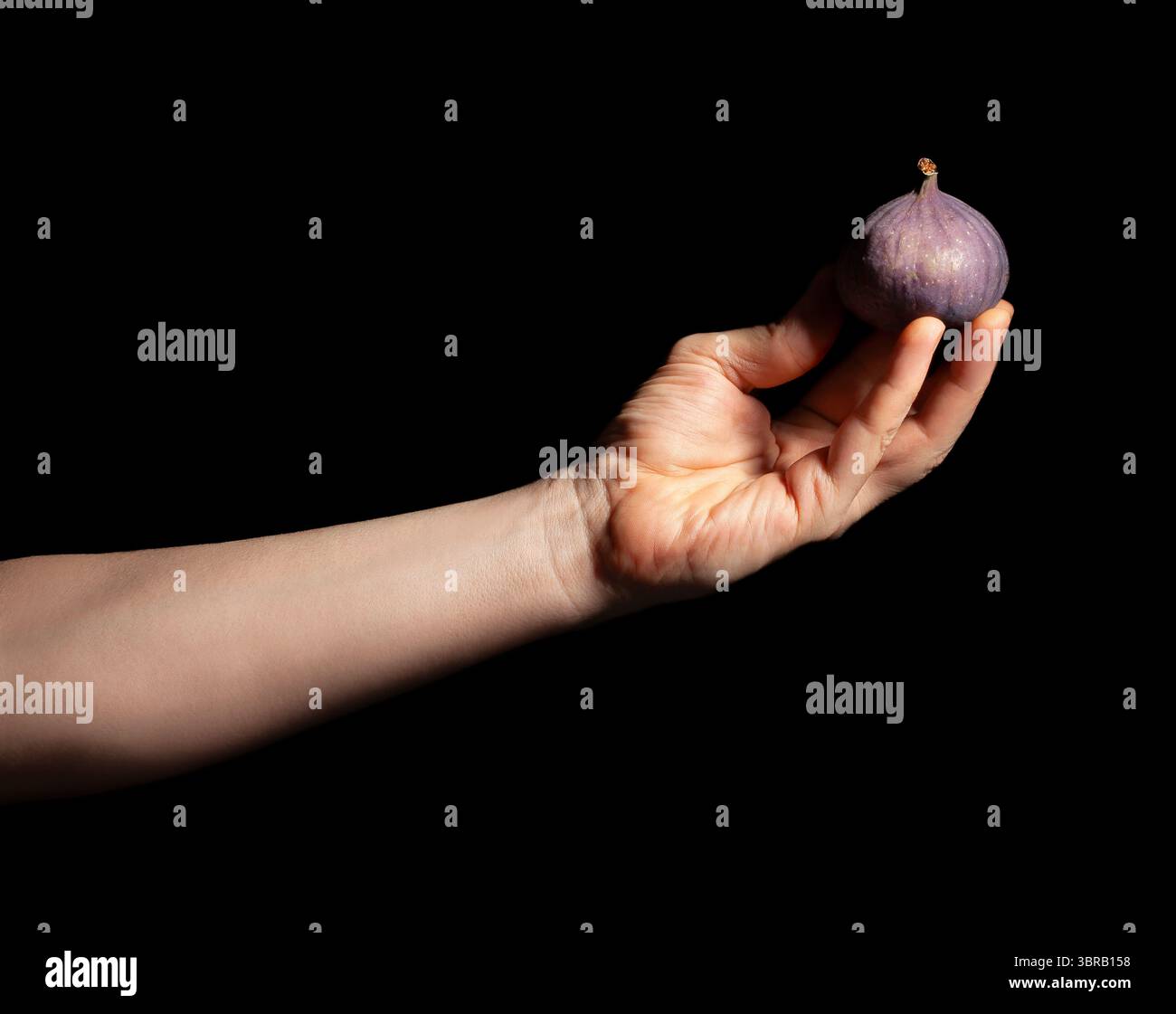 figs in hand on black background Stock Photo