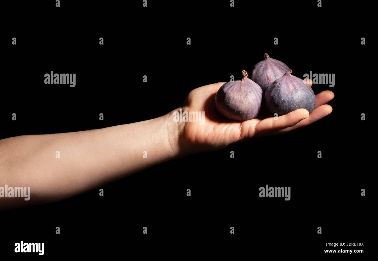 figs in hand on black background Stock Photo