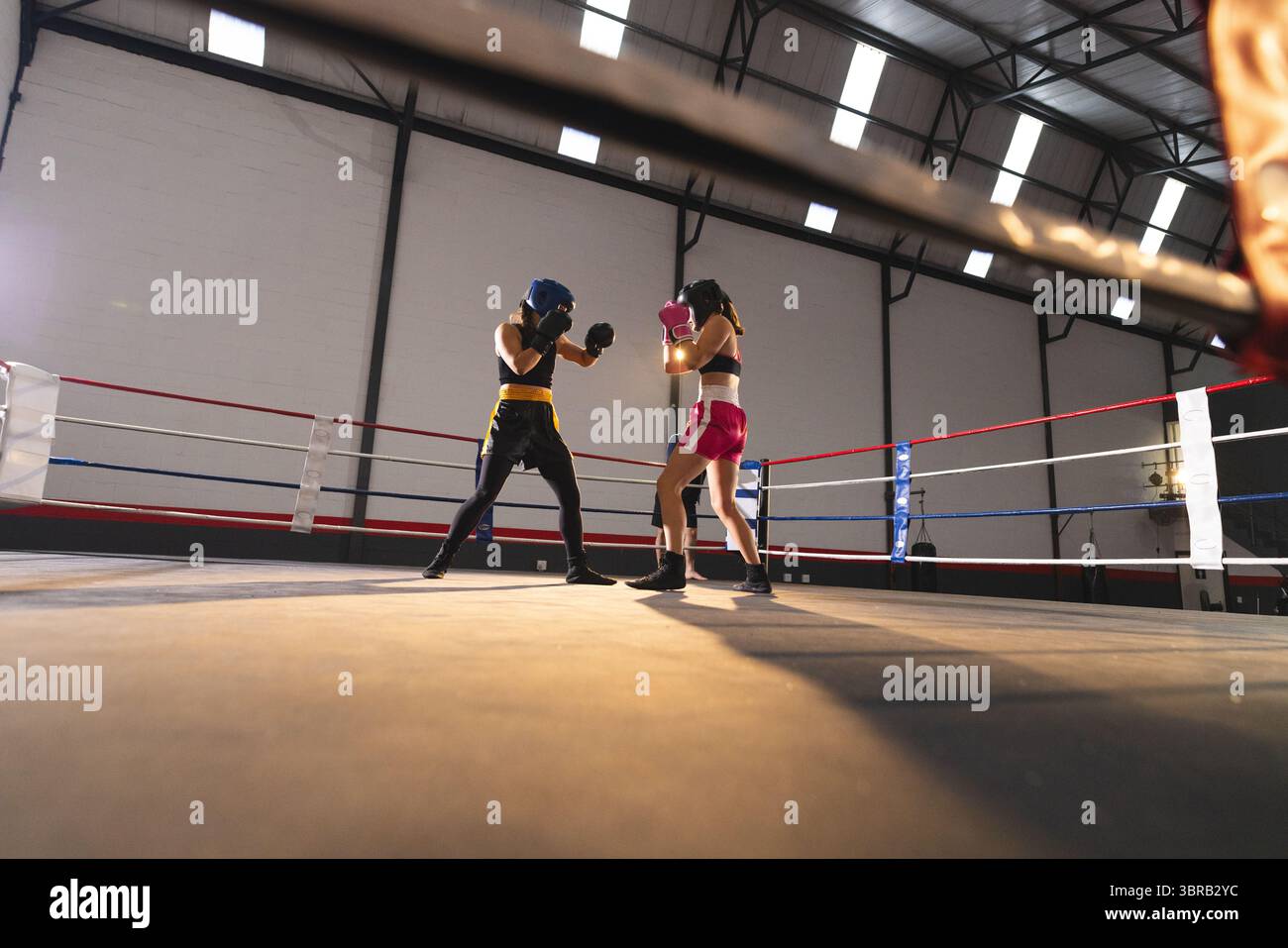 Female boxers sparring in boxing ring with red white blue ropes wearing ...