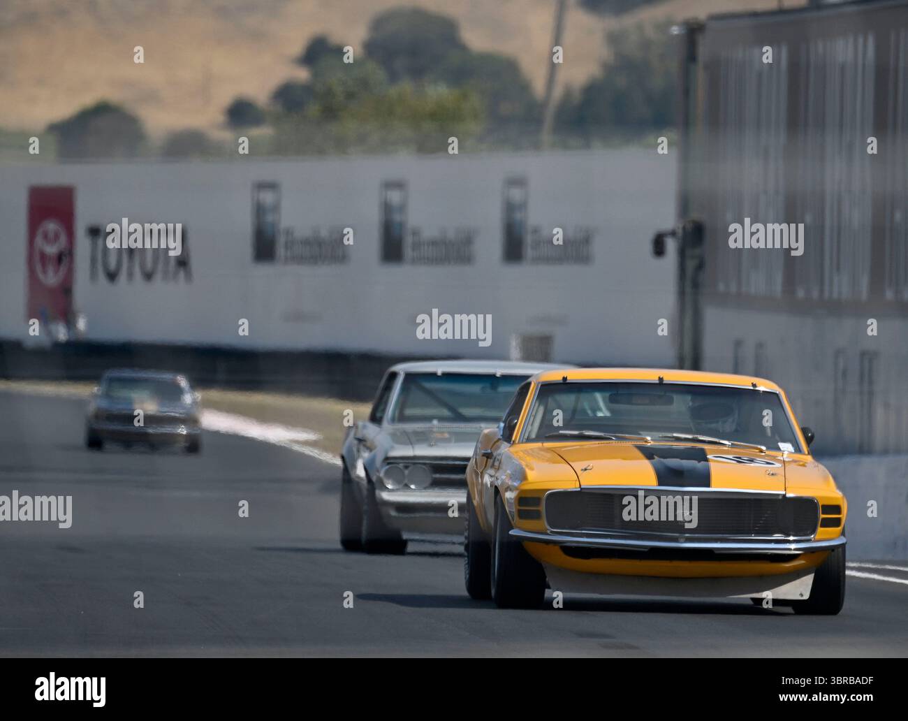 SONOMA, CA - JULY 11: Historic Trans-Am cars race towards turn 11 ...