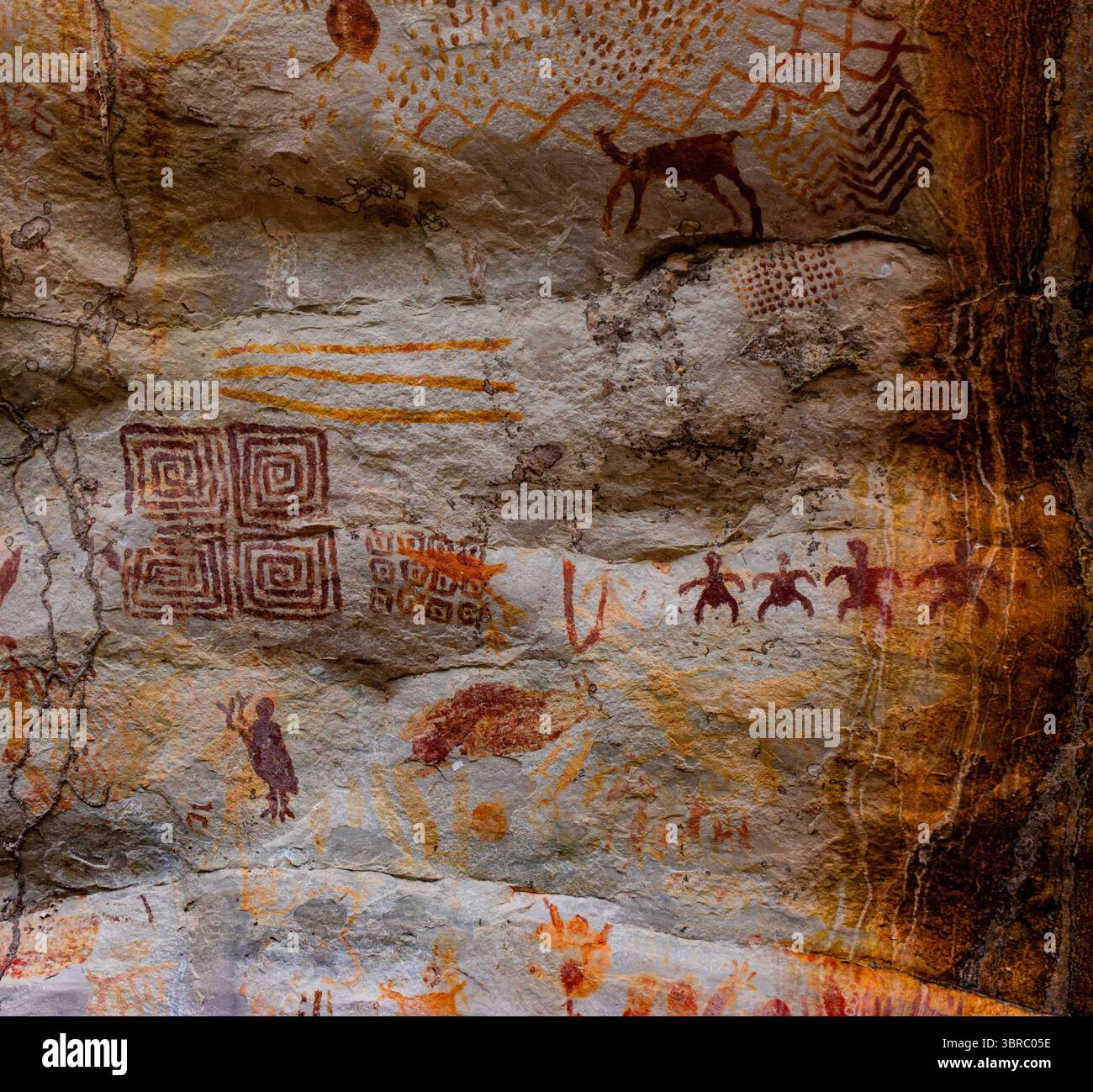 Discover intricate prehistoric rock hi-res stock photography and images ...