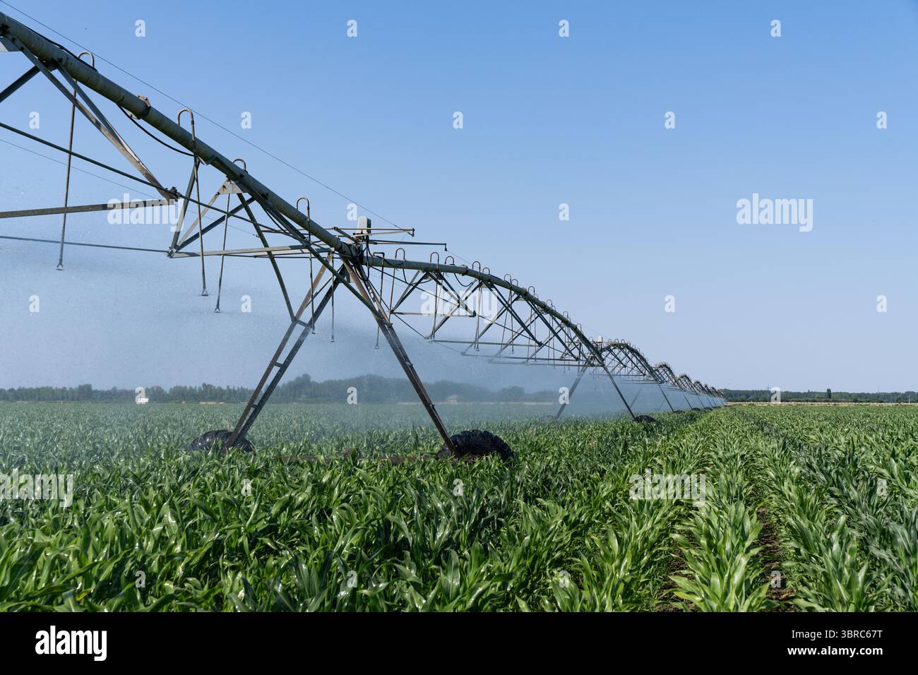 Agricultural pivot irrigation system on a corn field Stock Photo - Alamy