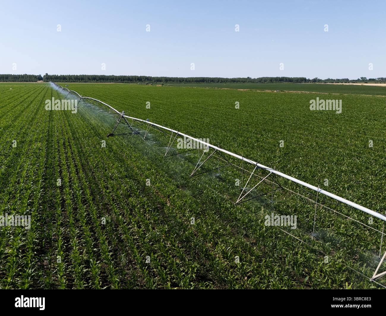 Aerial view of agricultural watering pivot irrigation system on a corn ...