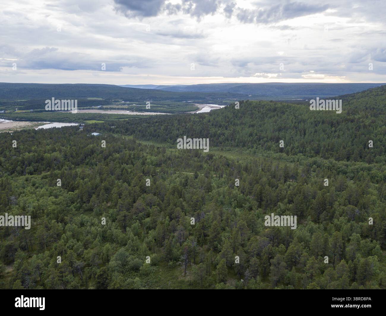 Boreal coniferous forest hi-res stock photography and images - Alamy