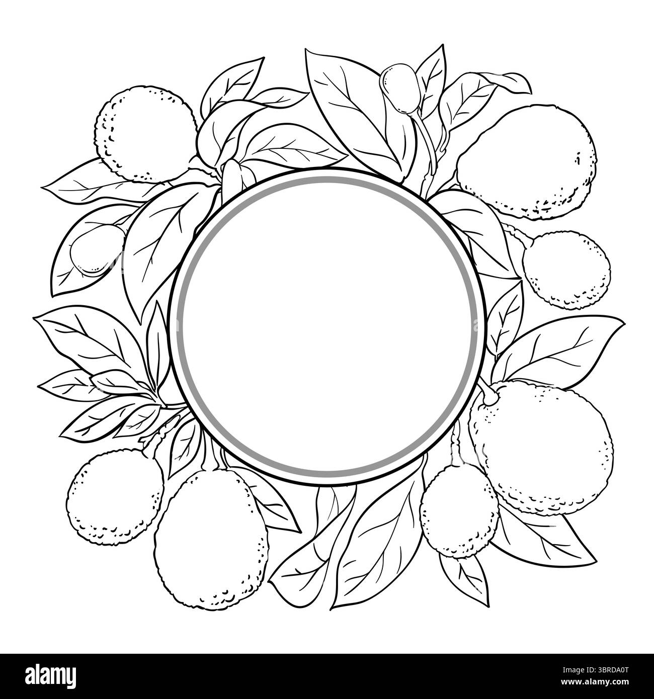 Avocado Branch Outline Round Frame. Stock Vector