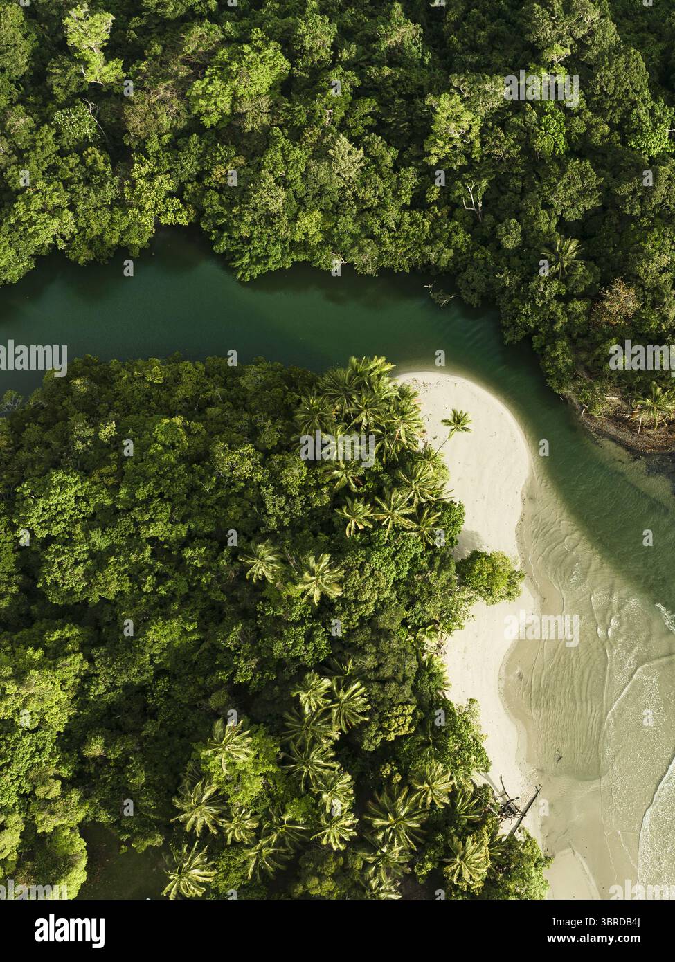 Aerial view of lush green rainforest meeting a serene river and sandy beach, a symphony of emerald and ivory, Queensland, Australia. Stock Photo