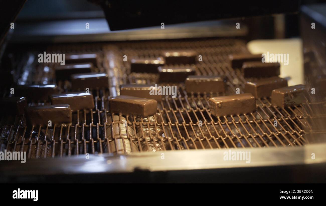 Chocolate bars cooling on a conveyor belt during the chocolate making ...