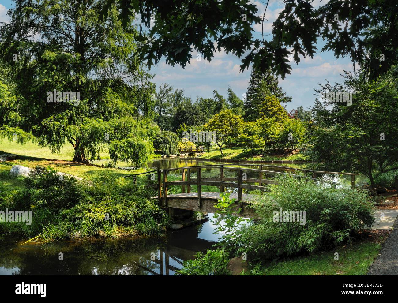 Two wooden bridges across hi-res stock photography and images - Alamy