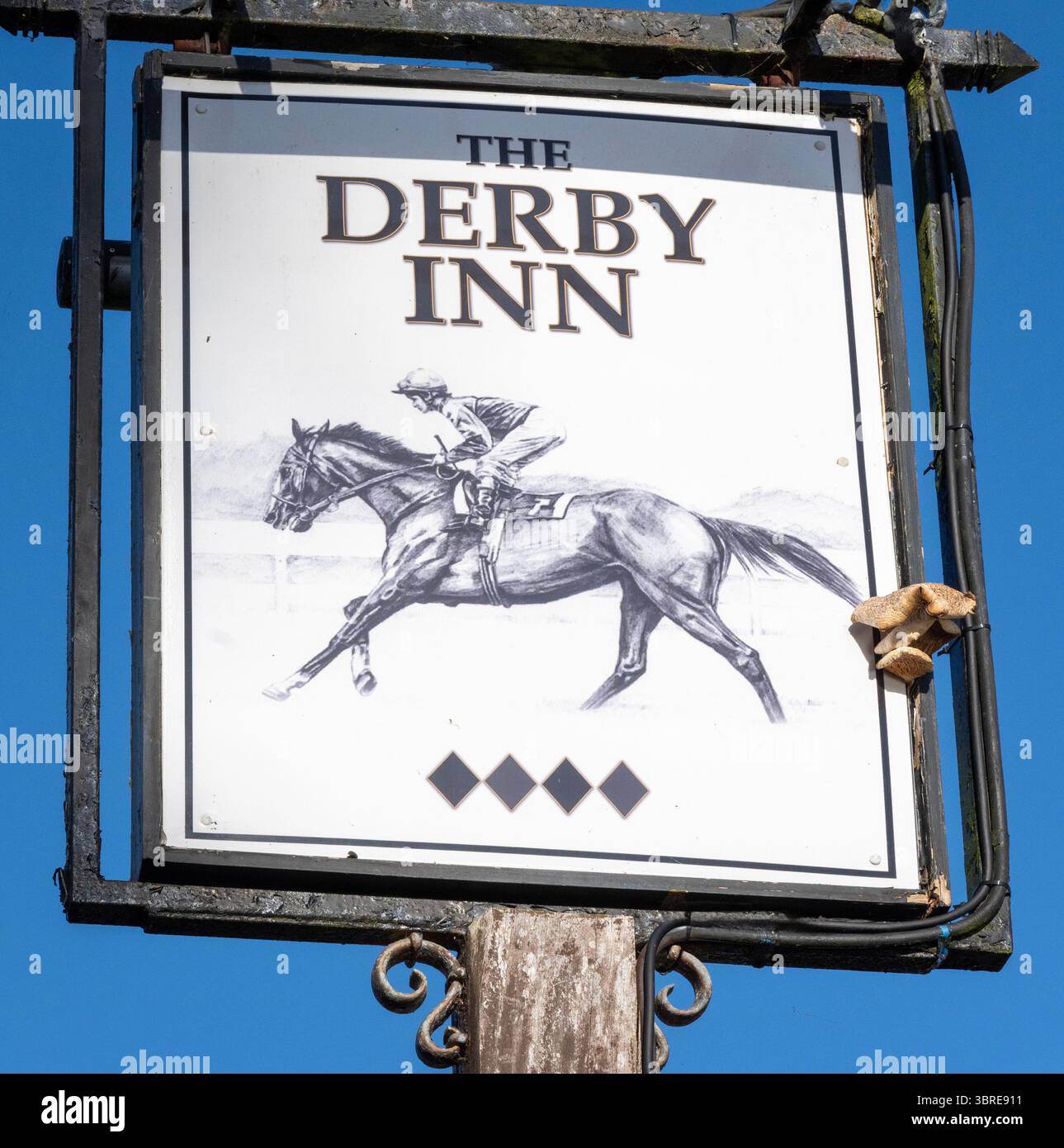 Traditional hanging pub sign at The Derby Inn, Bartley Heath, Hook ...