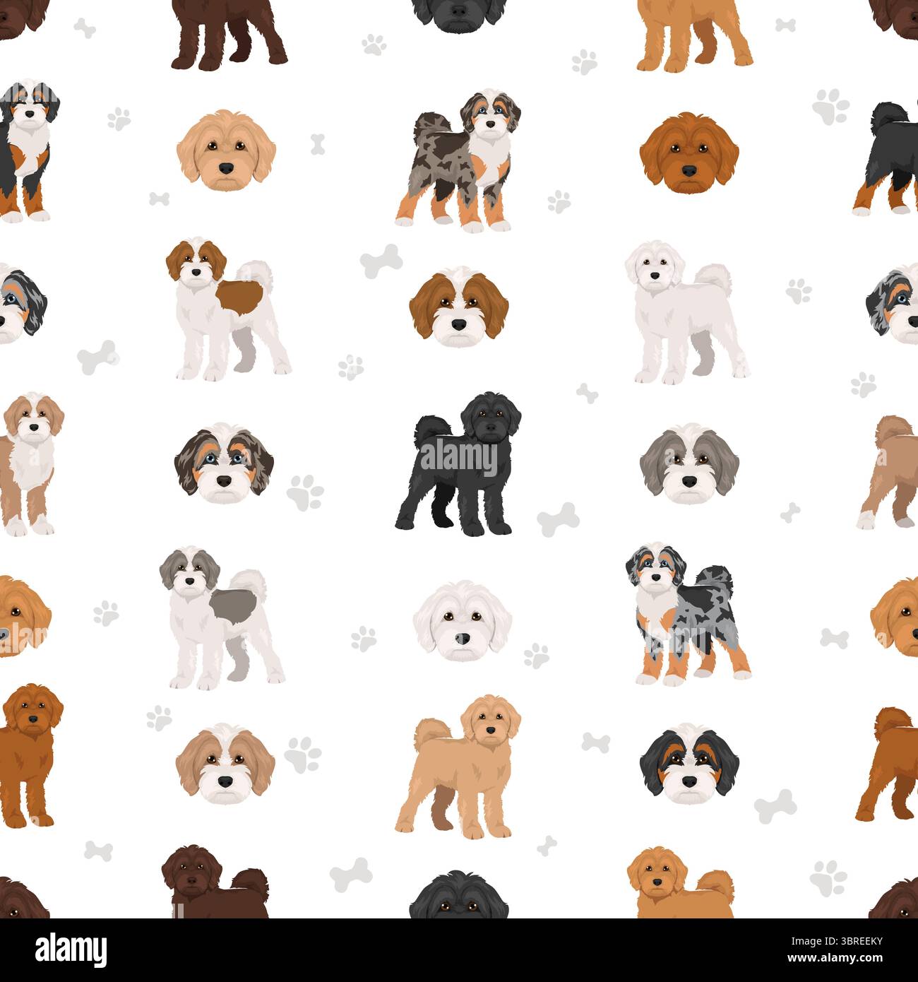 dog; cockapoo; cockerpoo; spoodle; cockerdoodle; infographic; cockapoos ...