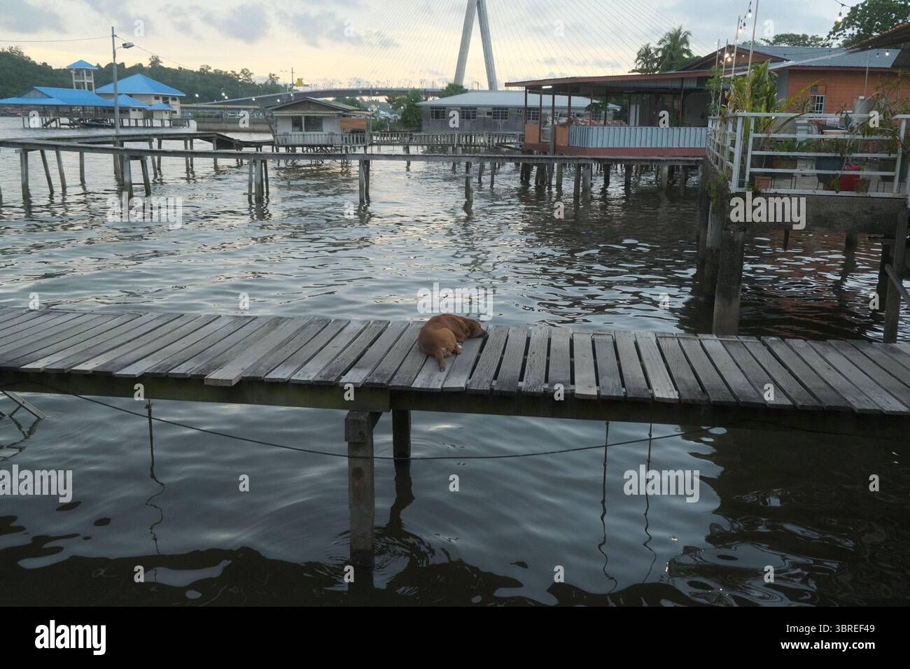 Discover the hidden gem of Southeast Asia – Brunei From golden domes to ...