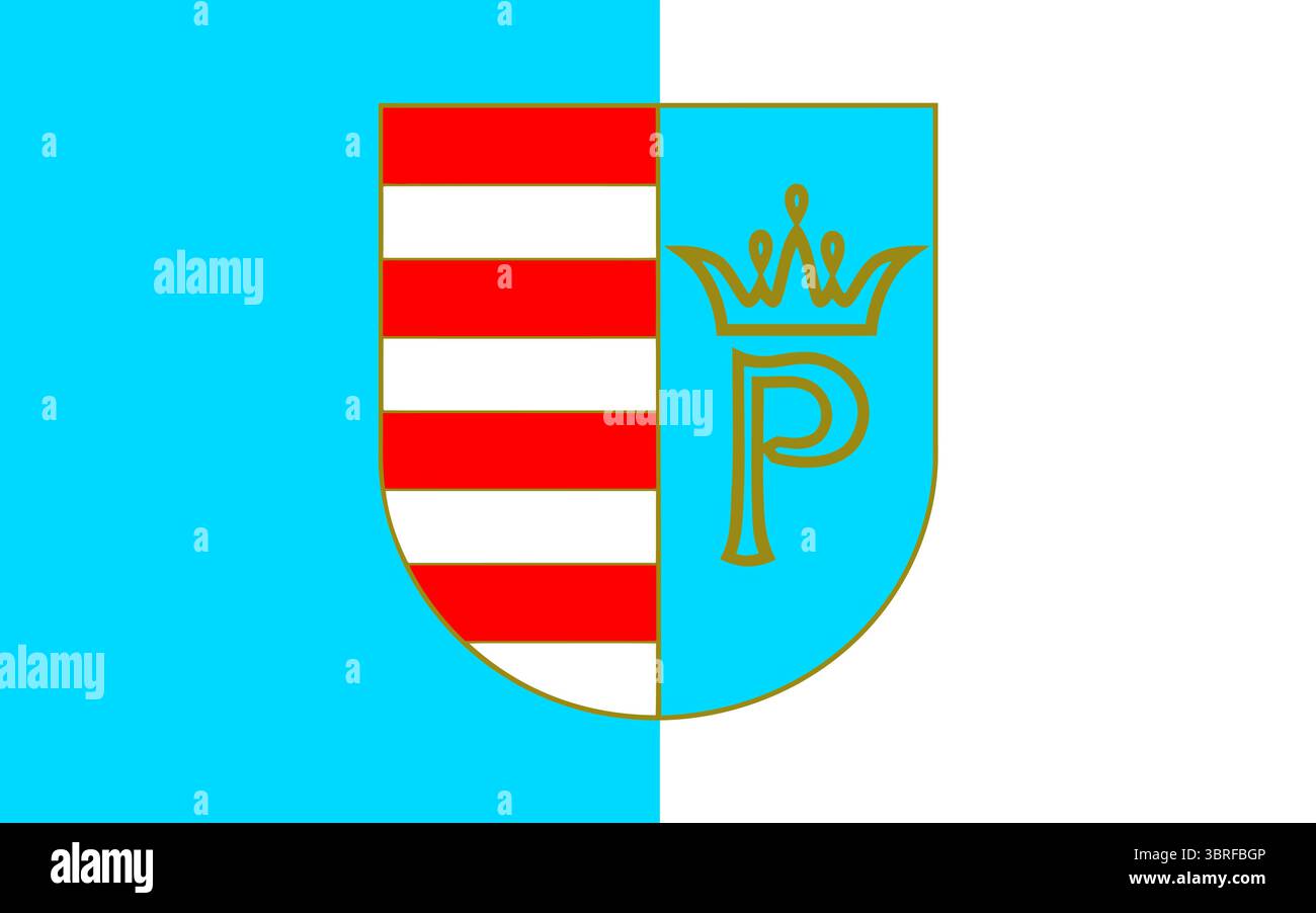 Flag of Przysus County, Poland – official county banner with regional coat of arms, vector illustration, flat design Stock Vector