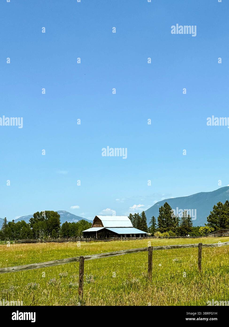 Abandoned Barn in Field - Smartphone Captured Stock Image