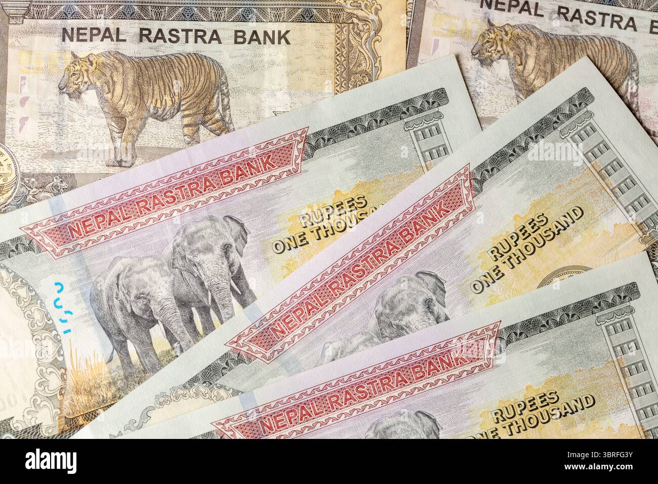 Nepalese rupee note nepal money hi-res stock photography and 