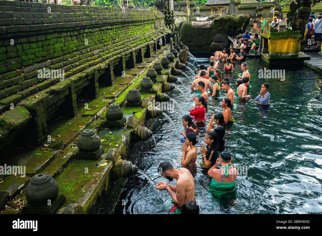 Indian Purification Ritual Pura Tirta Empul Temple, Bali, Indonesia, where visitors perform a ...