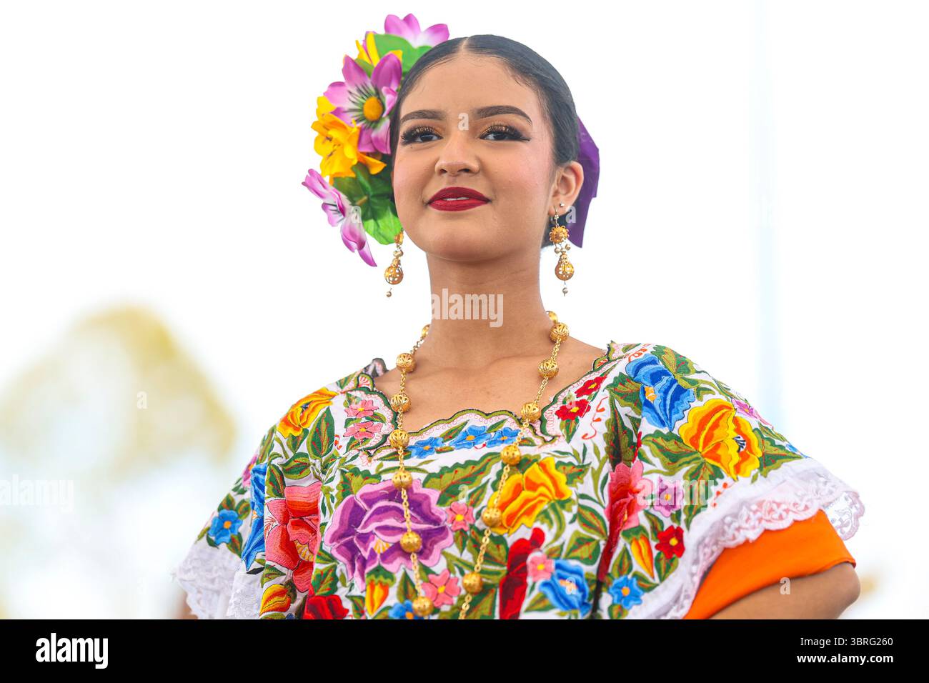 Traditional mexican folk dance hi-res stock photography and images - Page  24 - Alamy, image size:1300x956