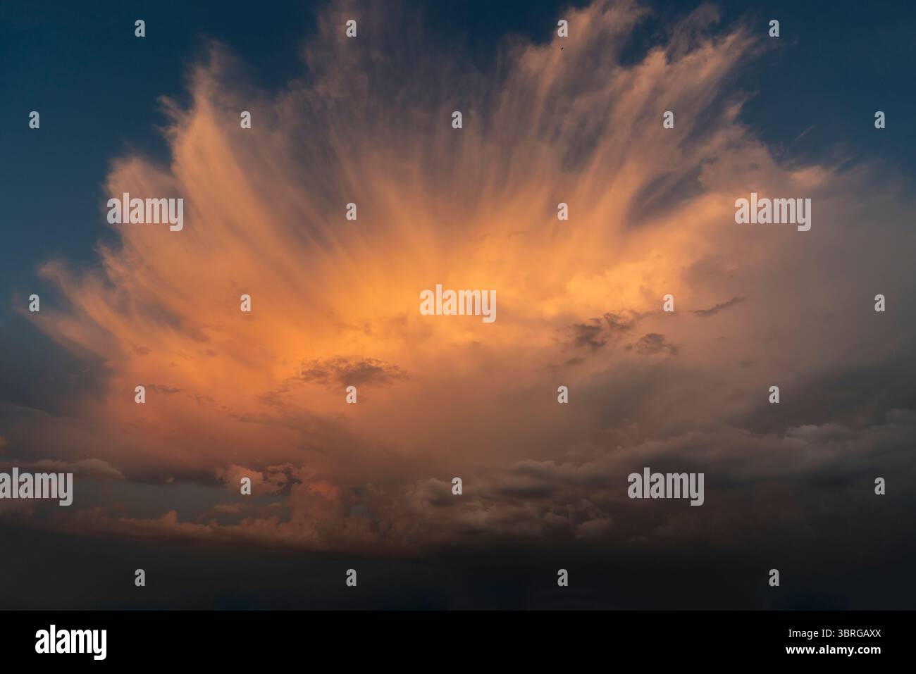 a beautiful picture of clouds, feathery clouds in the light of the setting sun, fluffy cloud against the blue sky Stock Photo