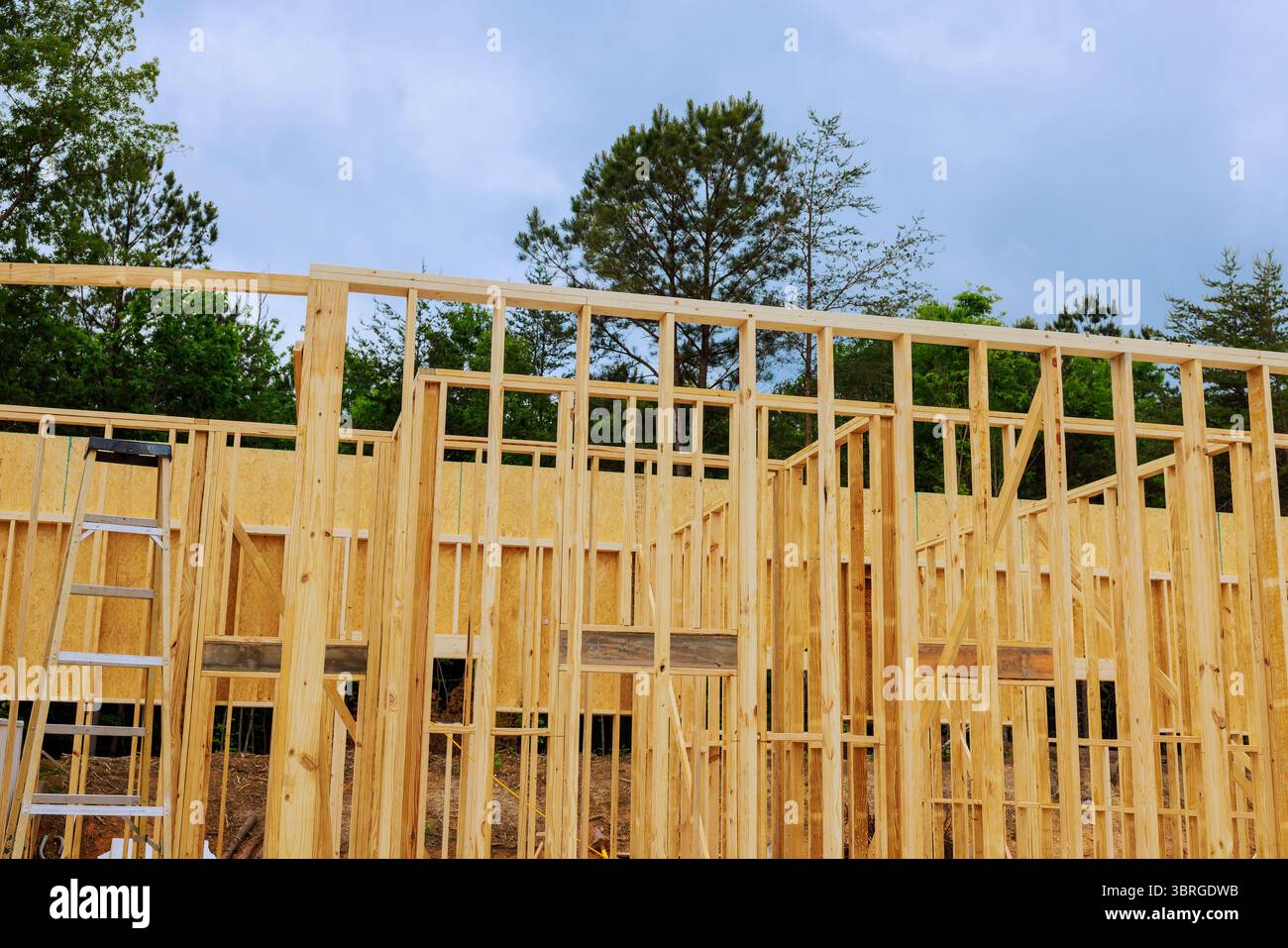 Workers are building wooden structure in lush greenery under works day ...