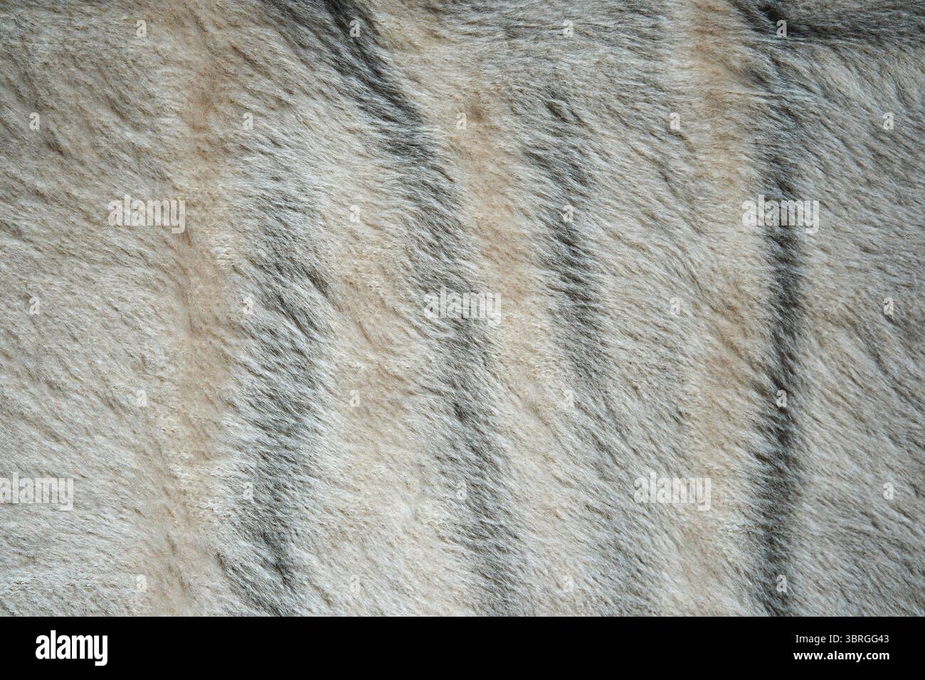 Soft and textured surface reveals gentle variations in color and pattern. Stock Photo