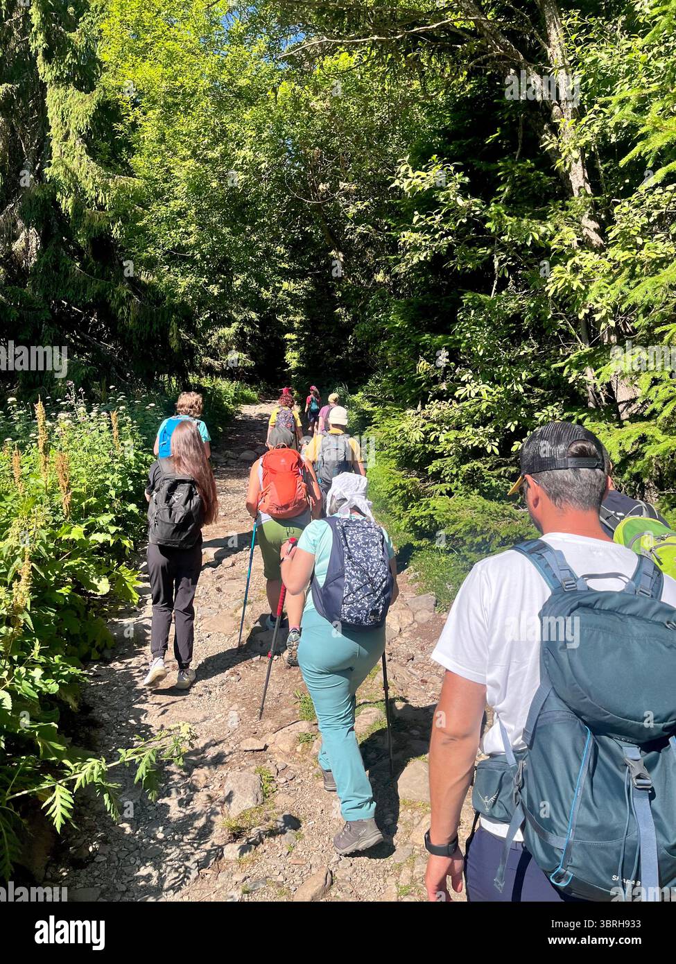Group of hikers on hiking trail in the Rila Nature Reserve and National Park, Rila Mountain, Bulgaria, Balkans, Southeastern Europe - Smartphone Captured Stock Image