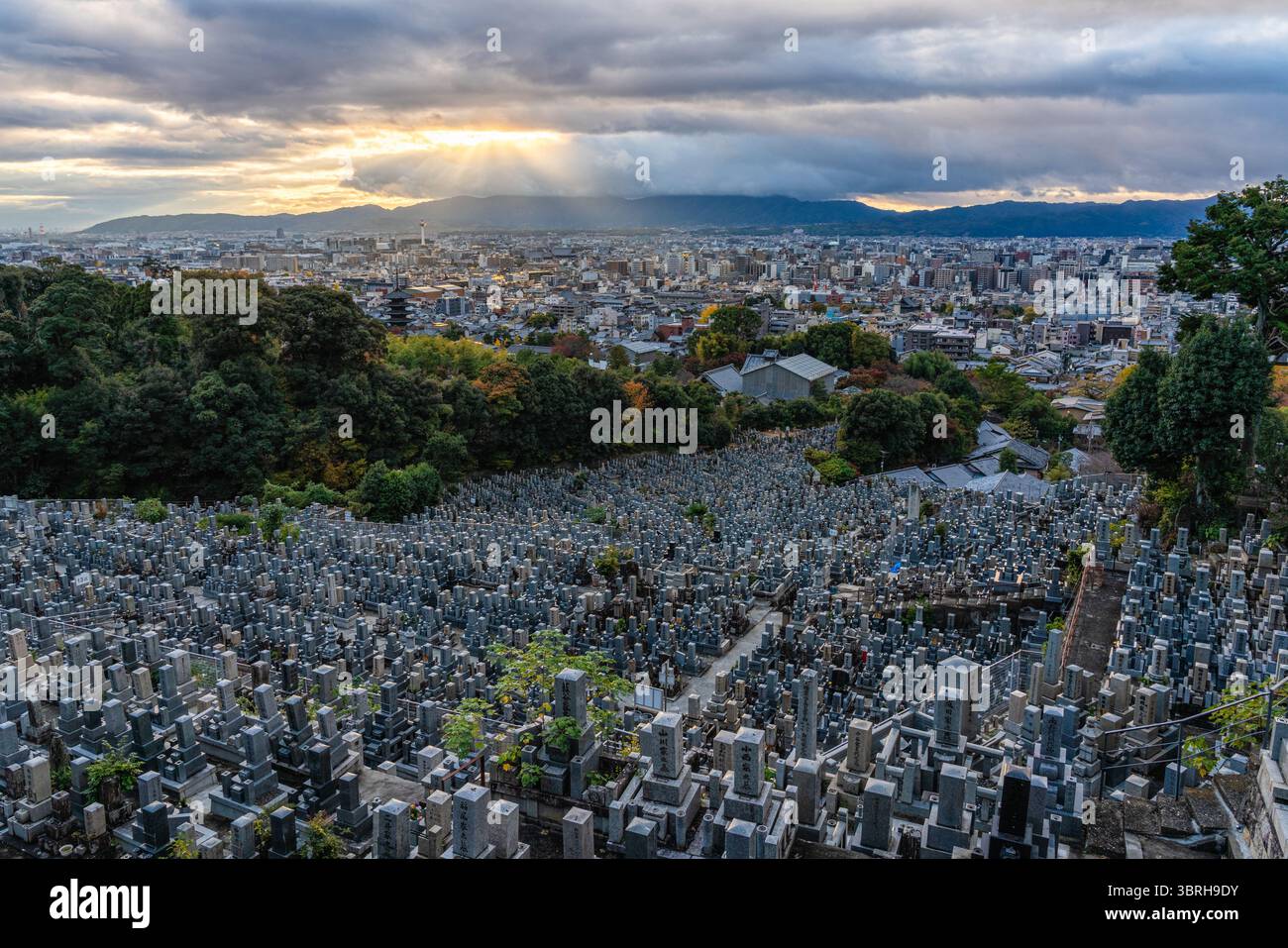 Panoramic view in Nishi Otani Cemetery in Kyoto in the late afternoon.  Japan. Stock Photo