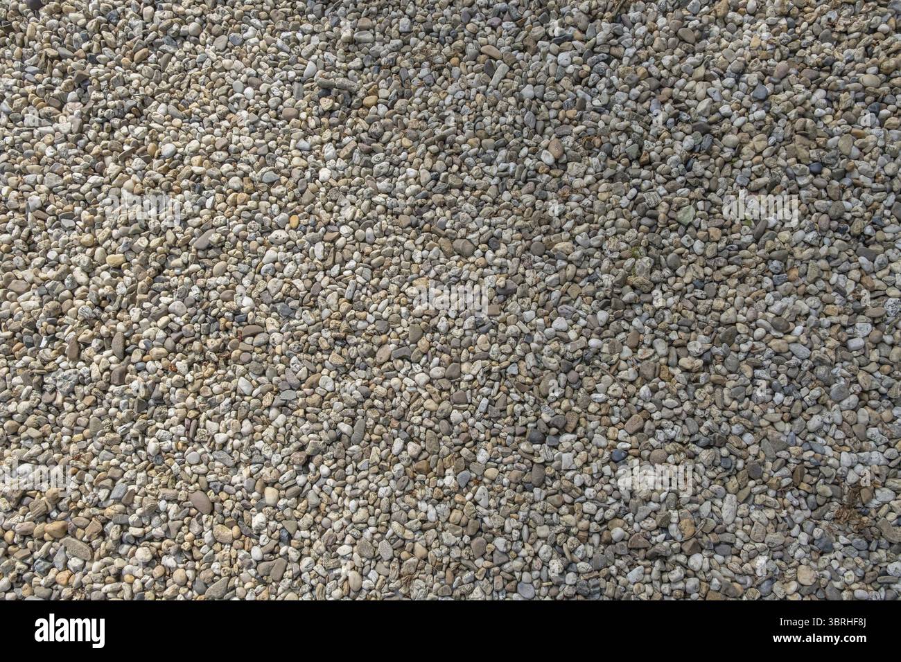Small pebbles as garden path, background image, texture, Netherlands Stock Photo