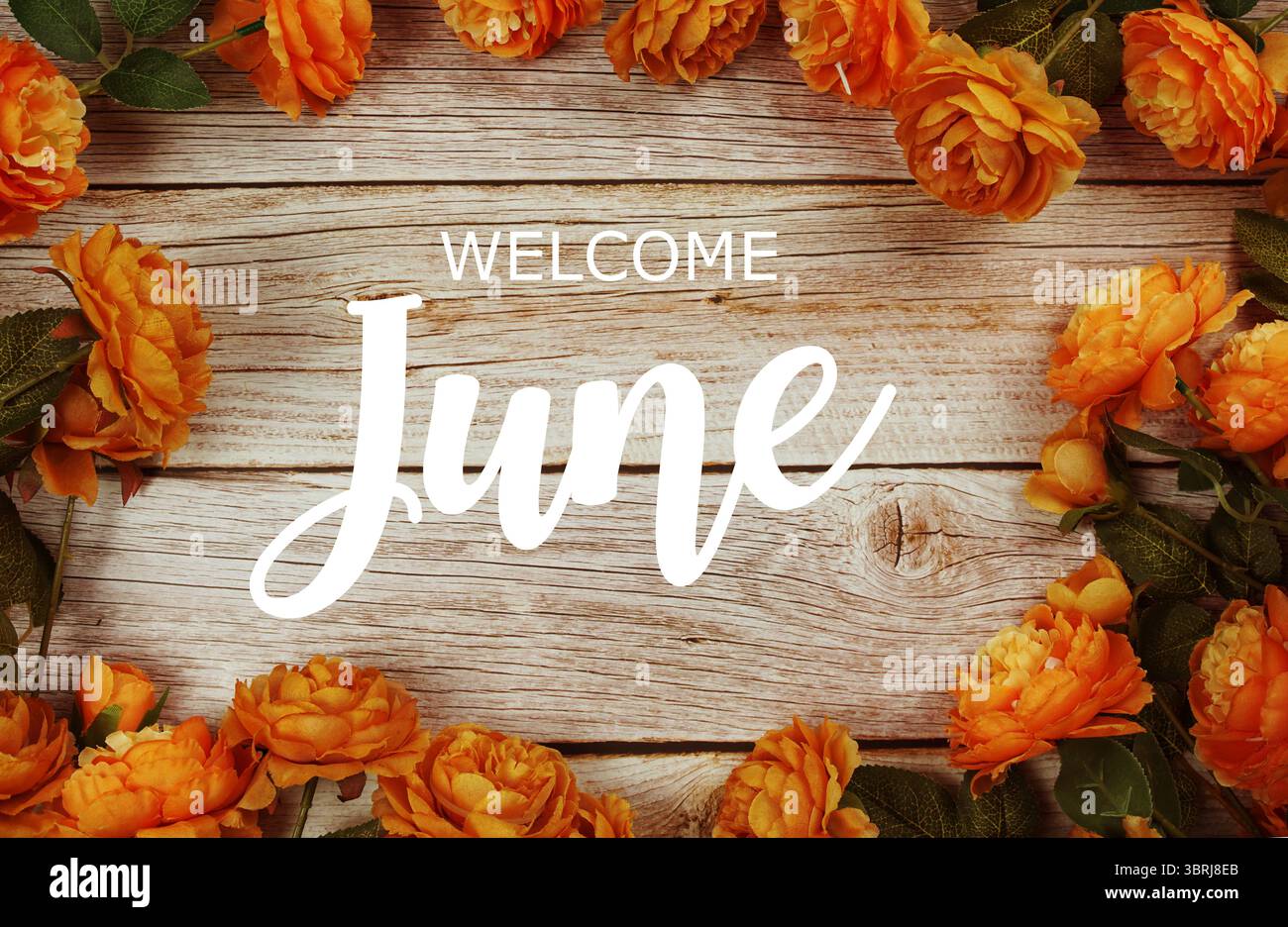 June Text Frame Welcome June typography text with flower border frame Stock Photo - Alamy