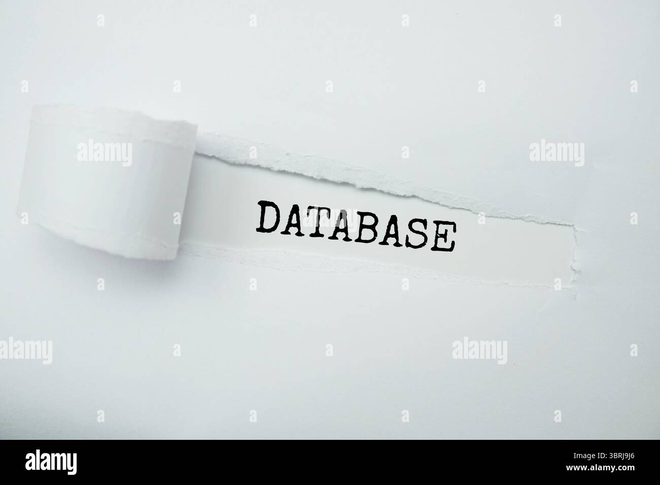 Database message written on white paper with torn paper background Stock Photo