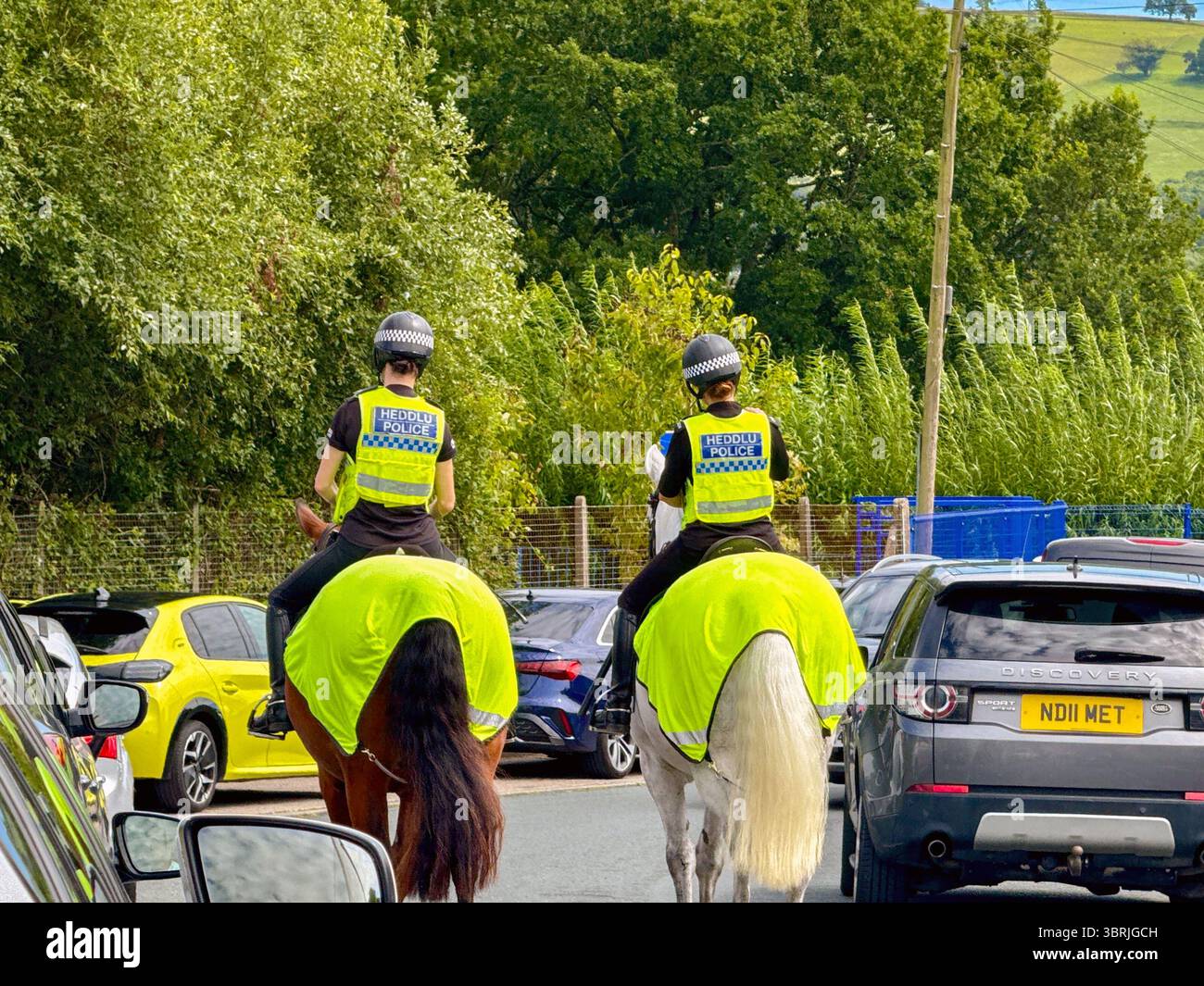 Pontypridd, Wales, UK - 27 June 2025: Rear view of two female mounted police offices from the South Wales Police force riding on a street - Smartphone Captured Stock Image