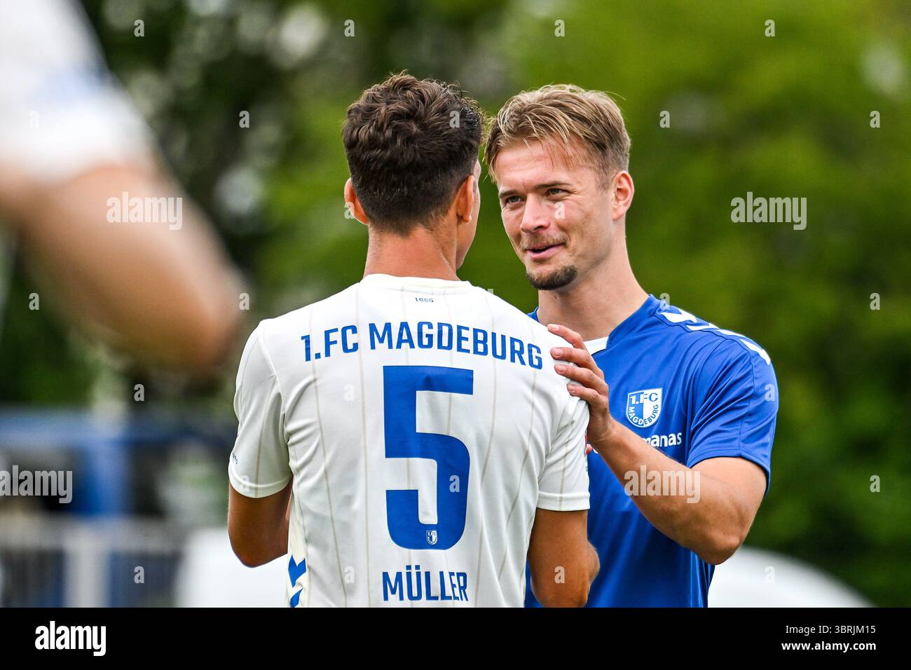 Alexander Ahl-Holmström 1. FC Magdeburg Evaluating the 2. Bundesliga Landscape