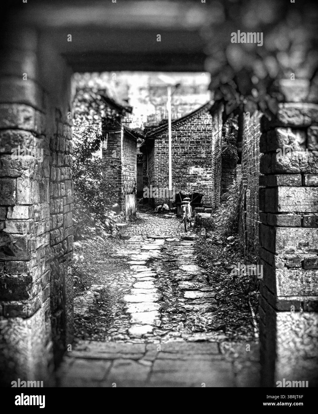 lego 10294 dimensions