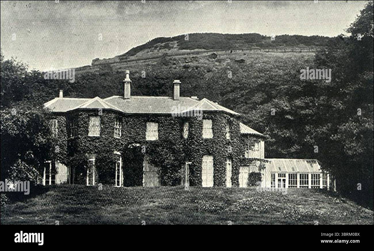 Maesteg House Kilvey Stock Photo - Alamy