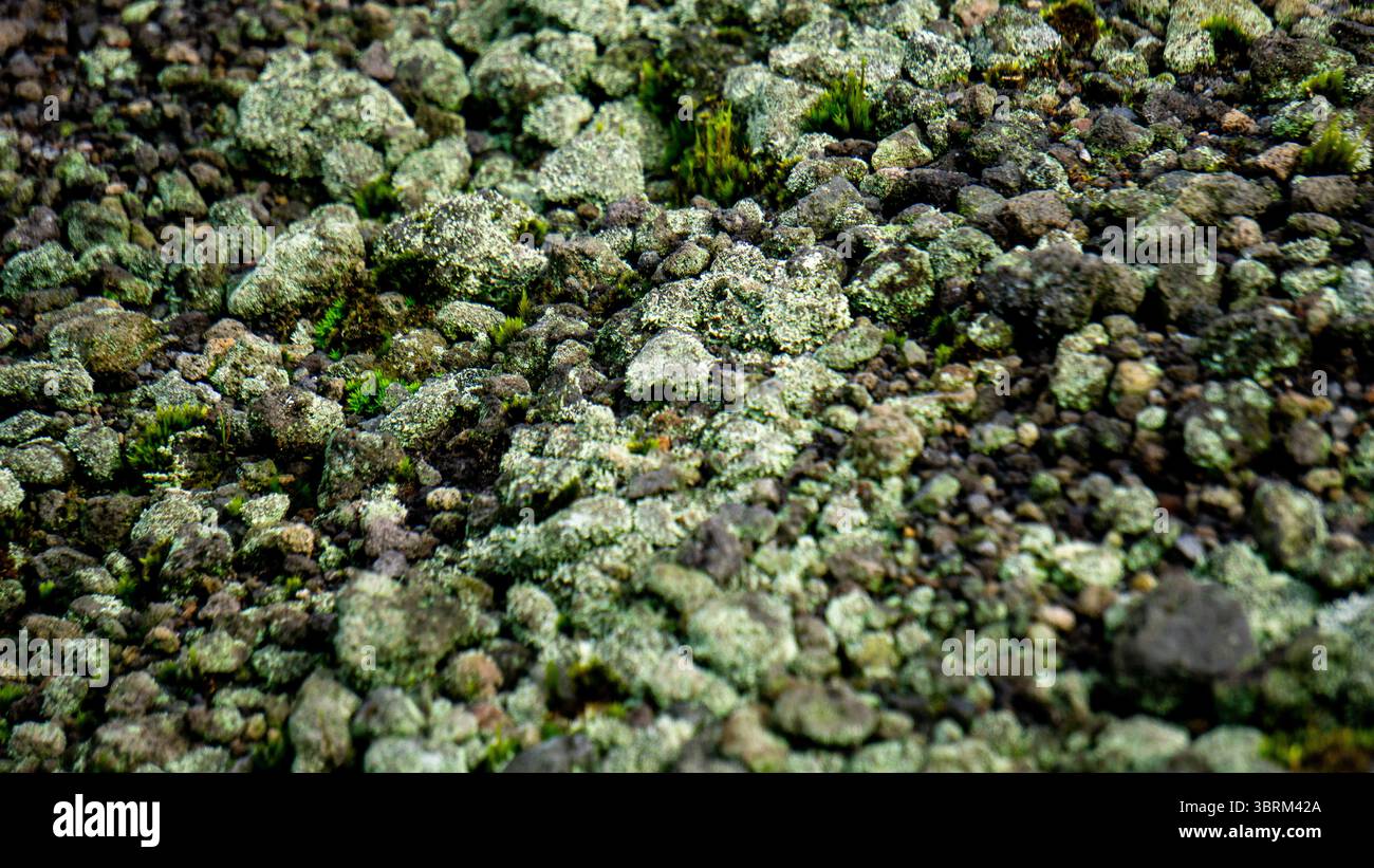 Volcanic comparison hi-res stock photography and images - Alamy