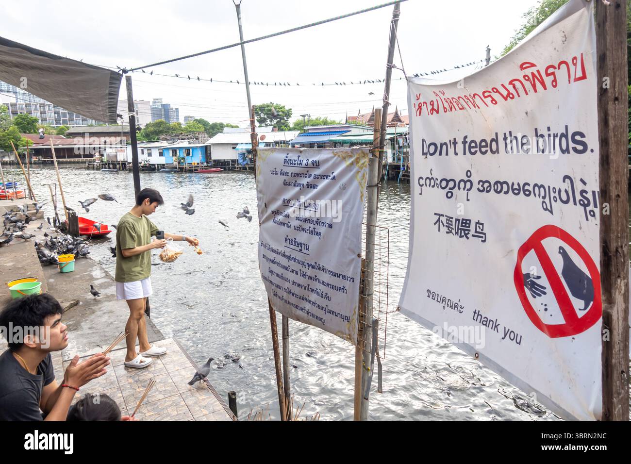 Young men feeding fish, a canal with a sign in Chinese, English, Thai and Burmese, "Don't feed the birds." Graphics, Bangkok Thailand Stock Photo