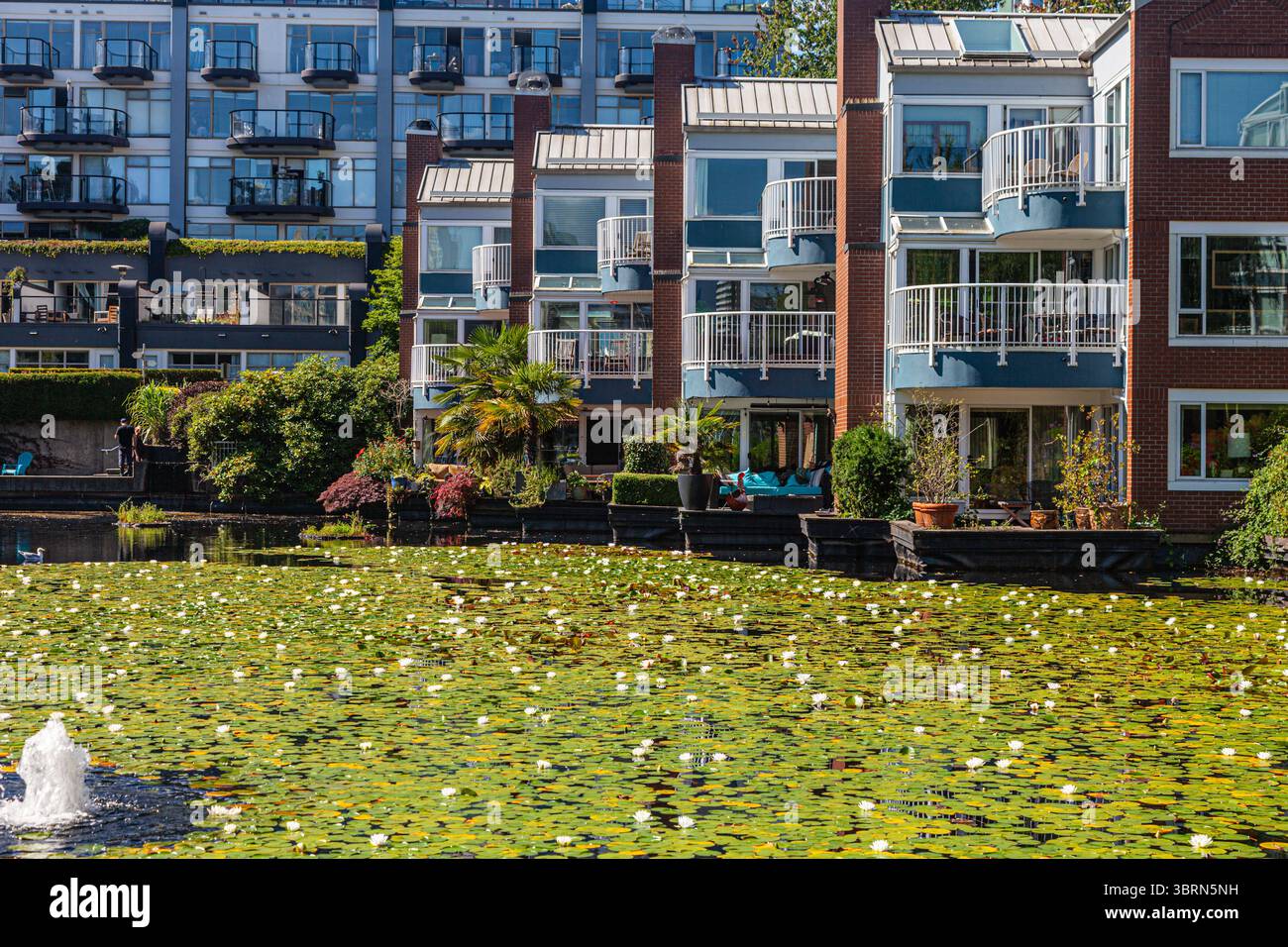Fresh Look at Waterfront High End Luxury Hi Res Stock Photography And Images