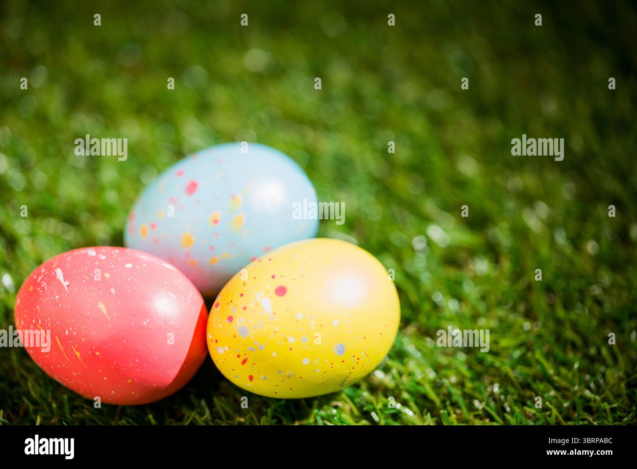 Easter eggs on grass in garden Stock Photo
