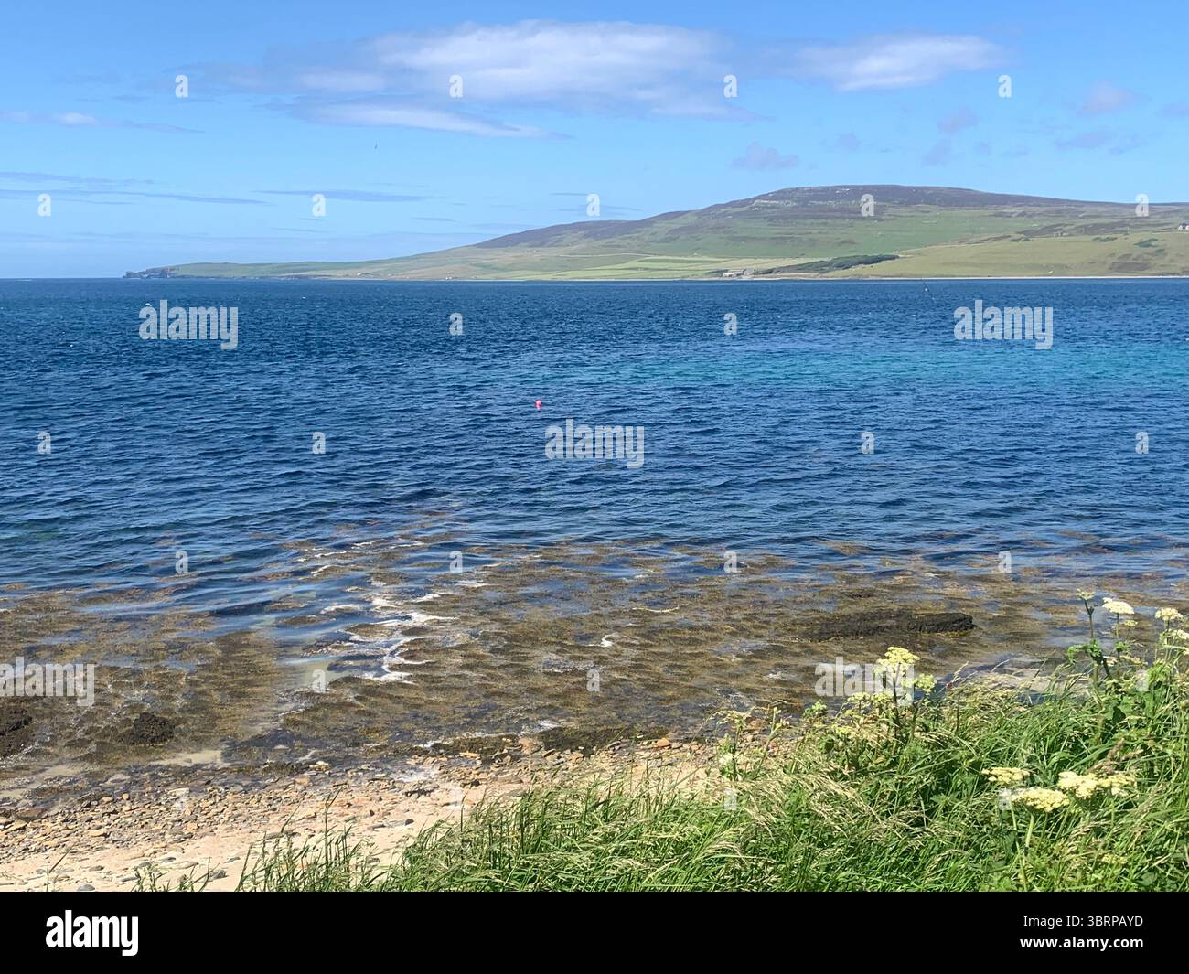 The Broch of Gurness Scotland Orkneys sand ancient village Iron age people Historic history buildings building hidden found landscape shore sea - Smartphone Captured Stock Image