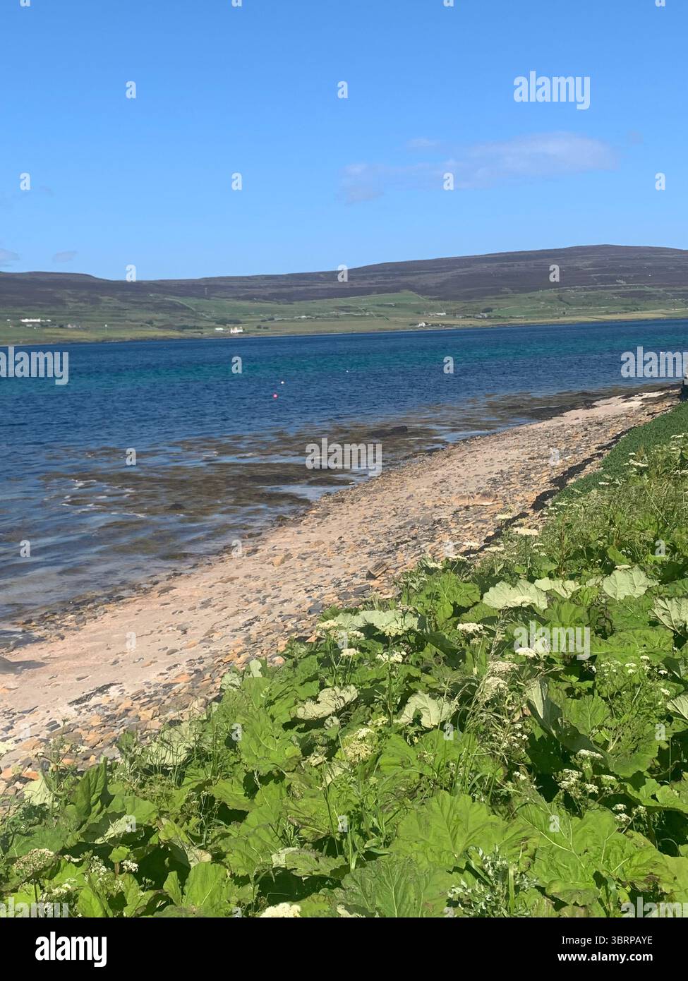 The Broch of Gurness Scotland Orkneys sand ancient village Iron age people Historic history buildings building hidden found landscape shore sea - Smartphone Captured Stock Image