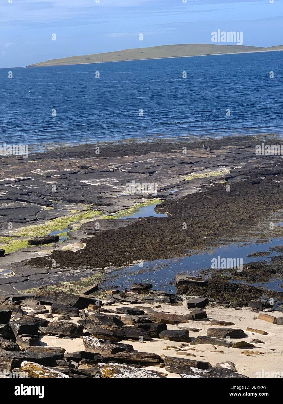 The Broch of Gurness Scotland Orkneys sand ancient village Iron age people Historic history buildings building hidden found landscape shore sea - Smartphone Captured Stock Image