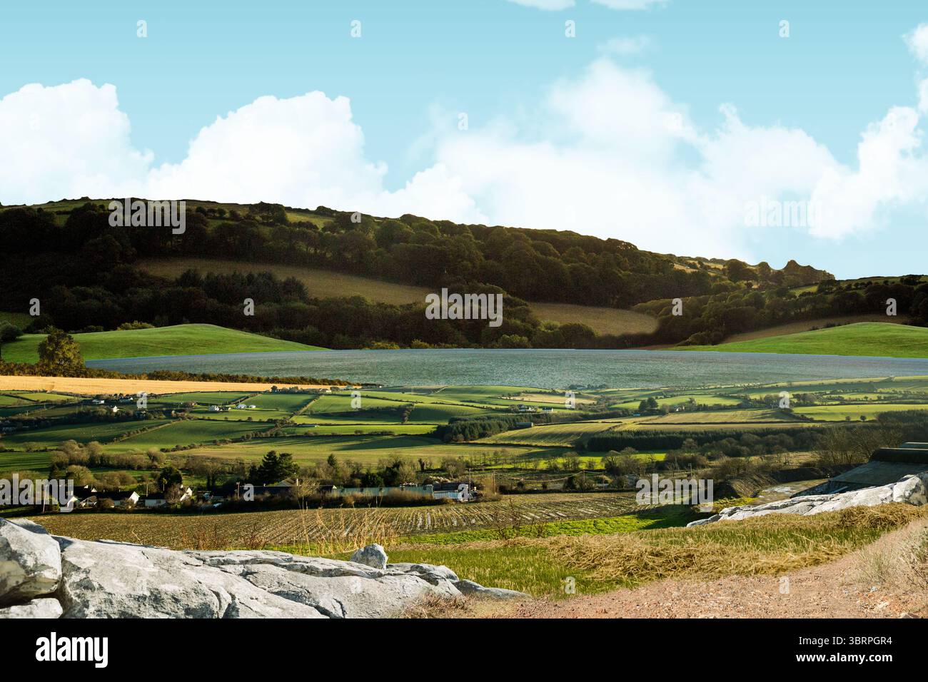 Flat design scene showing hedged farm plots, farmhouses, reservoir ...