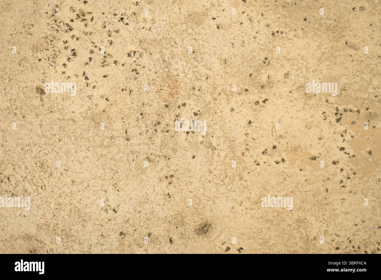 old stone wall texture , Premium seamless stone texture background Stock Photo