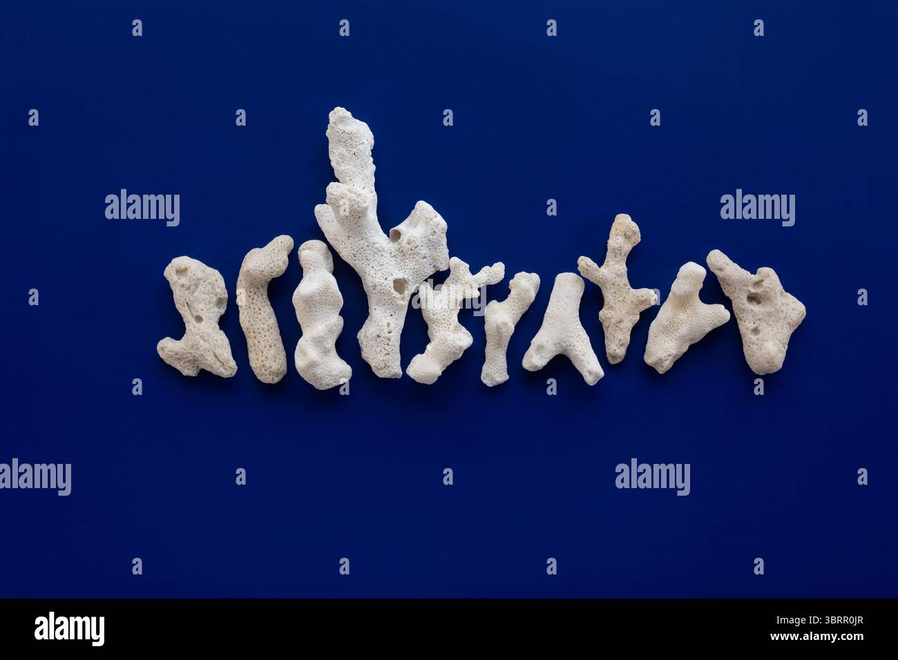 white coral frags isolated on blue background, different seashells isolated on white, seashell border frame PNG Stock Photo